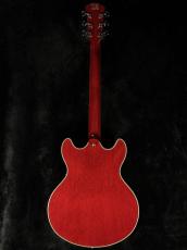 Sire 【GW版お茶の水大楽器祭】Larry Carlton H7-STR(See Through Red)-【ラリー・カールトン】_5