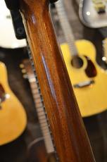 Tears Guitar TLG-2 M/E_9