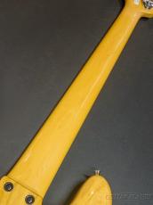 FUJIGEN NJB100MBAHV -Vintage Natural-【4.60kg】_9