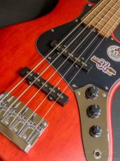 Bacchus WL5-STD/RSM -RED-S-【4.20kg】_3