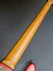 Bacchus WL5-STD/RSM -RED-S-【4.20kg】_9