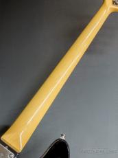 FUJIGEN NJB100RAL -Black-【4.47kg】_9