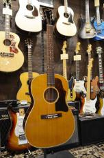 Tears Guitar TLG-2/VN_2