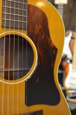 Tears Guitar TLG-2/VN_3