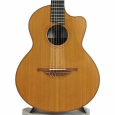 Lowden S-25J Jazz Nylon *2010
