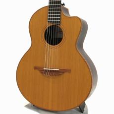 Lowden S-25J Jazz Nylon *2010_3