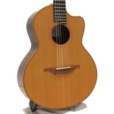 Lowden S-25J Jazz Nylon *2010_4