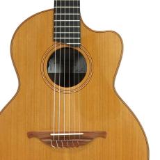 Lowden S-25J Jazz Nylon *2010_5