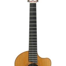 Lowden S-25J Jazz Nylon *2010_6