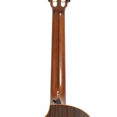 Lowden S-25J Jazz Nylon *2010_9