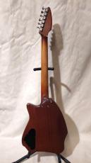 ESP Funichar D-616_3