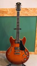 Aria Pro II TA-TONIC ALB_11