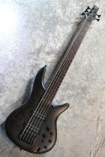 Ibanez SR305EB-WNF -Walnut Flat- #I251206479【3.68kg】【5弦】_2