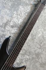 Ibanez SR305EB-WNF -Walnut Flat- #I251206479【3.68kg】【5弦】_3