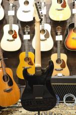 SCHECTER OL-ST-22/AB/R_4