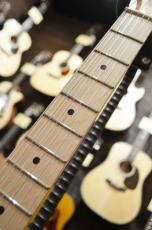 SCHECTER OL-TE-2H-FXD/BSC/M_6