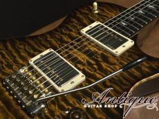 Paul Reed Smith [PRS] Private Stock Brazilian #6049 Singlecut Tremolo Tiger Eye Smoked Burst /Killer Quilt Top & African Ribbon Mahogany w/Paua & MOP Inlay 4.08kg EX+++ "Brazilian Rosewood Neck"_7