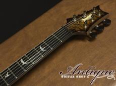 Paul Reed Smith [PRS] Private Stock Brazilian #6049 Singlecut Tremolo Tiger Eye Smoked Burst /Killer Quilt Top & African Ribbon Mahogany w/Paua & MOP Inlay 4.08kg EX+++ "Brazilian Rosewood Neck"_10
