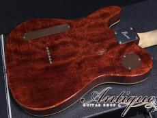 Bruno Guitars TN-295 Semi-Hollow 2024 Brass Powder Gold Aged /Figured Mahogany /Hard Maple 2.64kg "No-Used Mint"_5