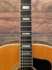 Guild 1973 F-48 Natural_5