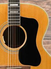 Guild 1973 F-48 Natural_7