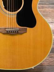 Guild 1973 F-48 Natural_9