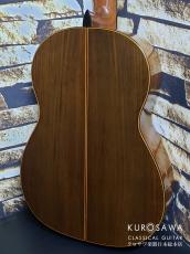 Petersen ピーターセン 1974年製 Model : C 松 ローズウッド【日本総本店2F 在庫品】_7