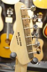 SCHECTER OL-ST-22/DBL/R_5