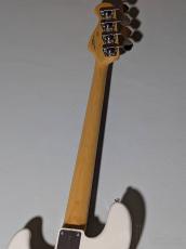 FUJIGEN NJB100RAL -Vintage White- #J230395【4.47kg】_7