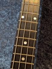 Aria Pro II SB-1000 -Oak-【1980/Vintage】_6