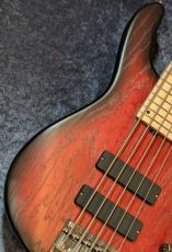 Sadowsky Metroline ML24 MS5 ASH -Burgundy Blackburst-_3