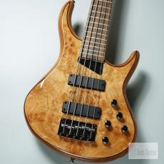 MTD Kingston Z5 / NAT Gloss【5弦】【重量4.22kg】