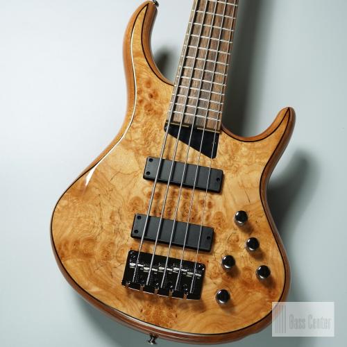 MTD Kingston Z5 / NAT Gloss【5弦】【重量4.22kg】