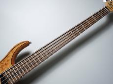 MTD Kingston Z5 / NAT Gloss【5弦】【重量4.22kg】_5