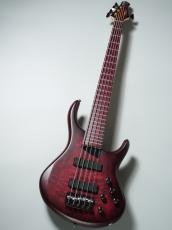 MTD Kingston AG5 / Andrew Gouch? Signature【5弦】【重量3.82kg】_2