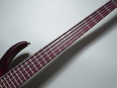 MTD Kingston AG5 / Andrew Gouch? Signature【5弦】【重量3.82kg】_5
