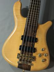Warwick Streamer Stage I 5ST【2013年製】【USED】
