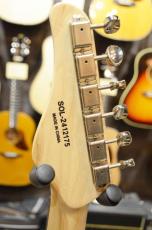 SCHECTER OL-PT-AL/DBL/R_5