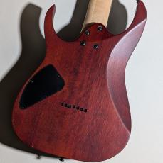 Ibanez RG7421PB -Transparent Gray Flat- 【2.82kg】【軽量!】_10
