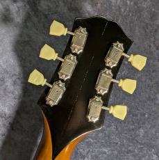 KING SNAKE Two Bone -Dirty Sunburst -【美品中古】【フルアコ】_8