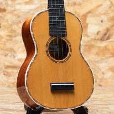 Lo Prinzi Herb Ohta Model Concert