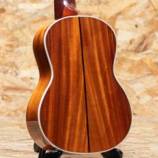 Lo Prinzi Herb Ohta Model Concert_2