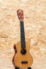 Lo Prinzi Herb Ohta Model Concert_3