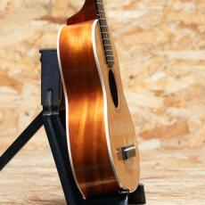 Lo Prinzi Herb Ohta Model Concert_4