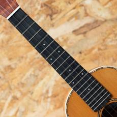 Lo Prinzi Herb Ohta Model Concert_6