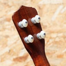 Lo Prinzi Herb Ohta Model Concert_9