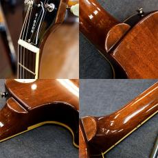 Epiphone LPS-80_4
