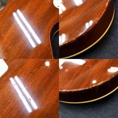 Epiphone LPS-80_9
