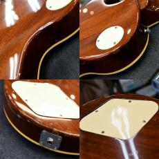 Epiphone LPS-80_10