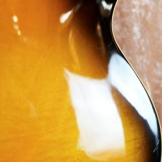 Gibson ES-175_7
